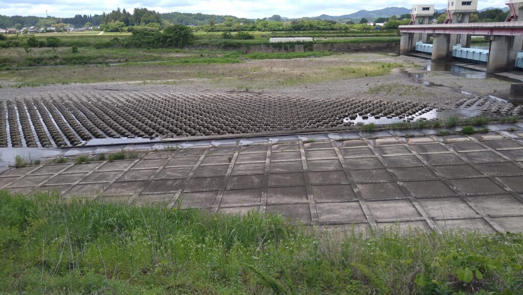 左岸の下流側から見た辰ノ口堰