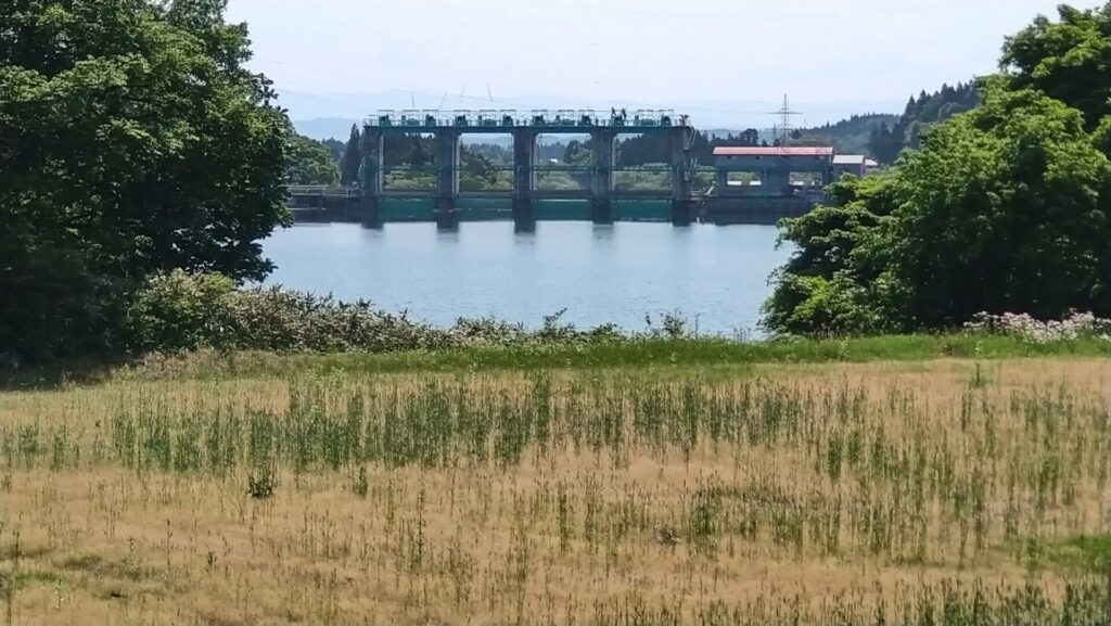 上流側から見た石羽根ダム