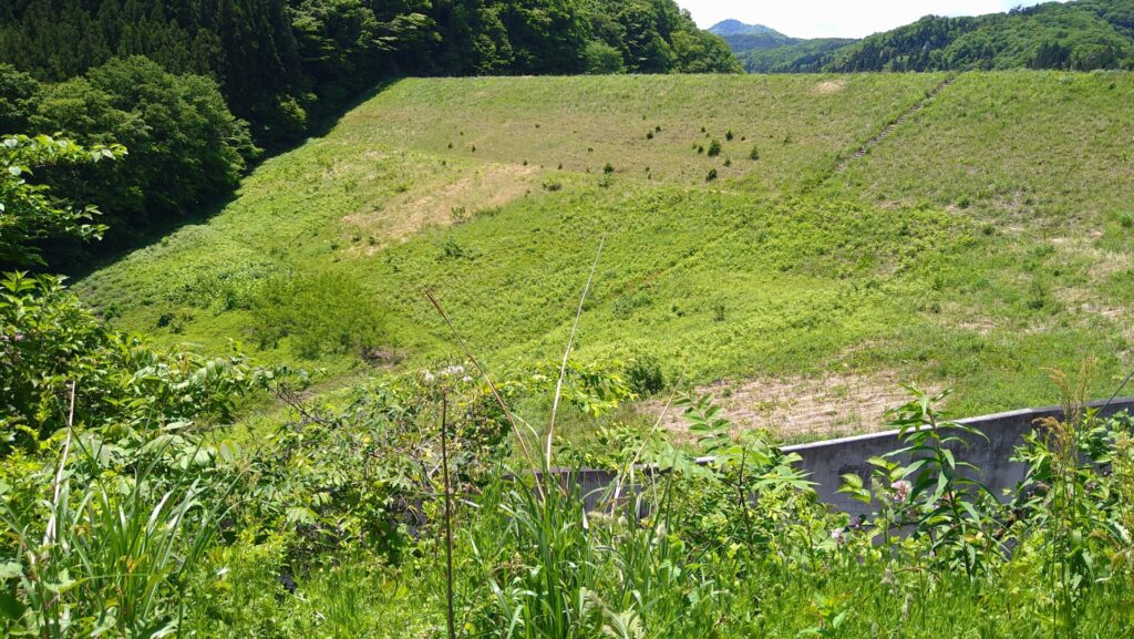 左岸の下流側から見た衣川1号ダム