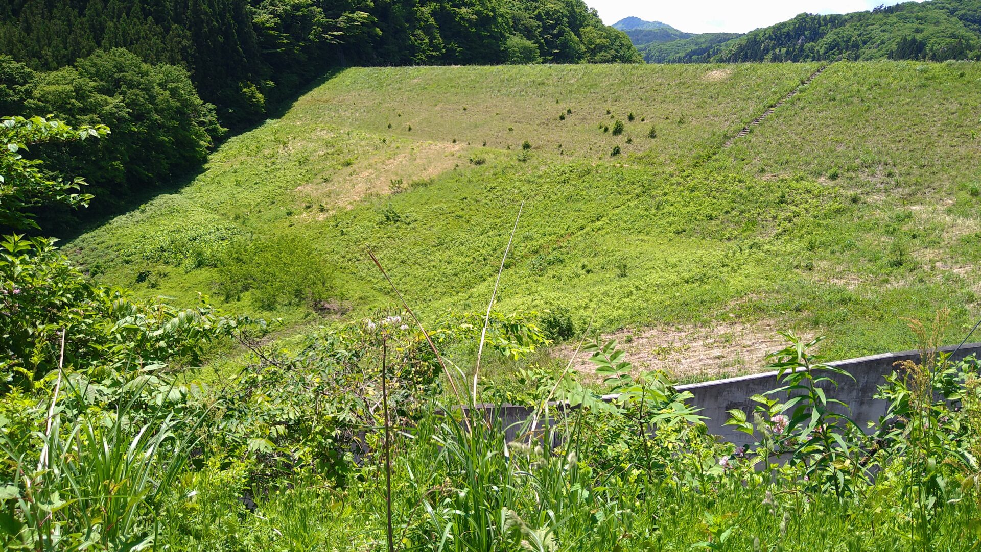衣川1号ダム