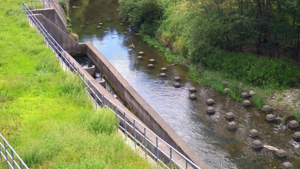 新田堰頭首工の魚道