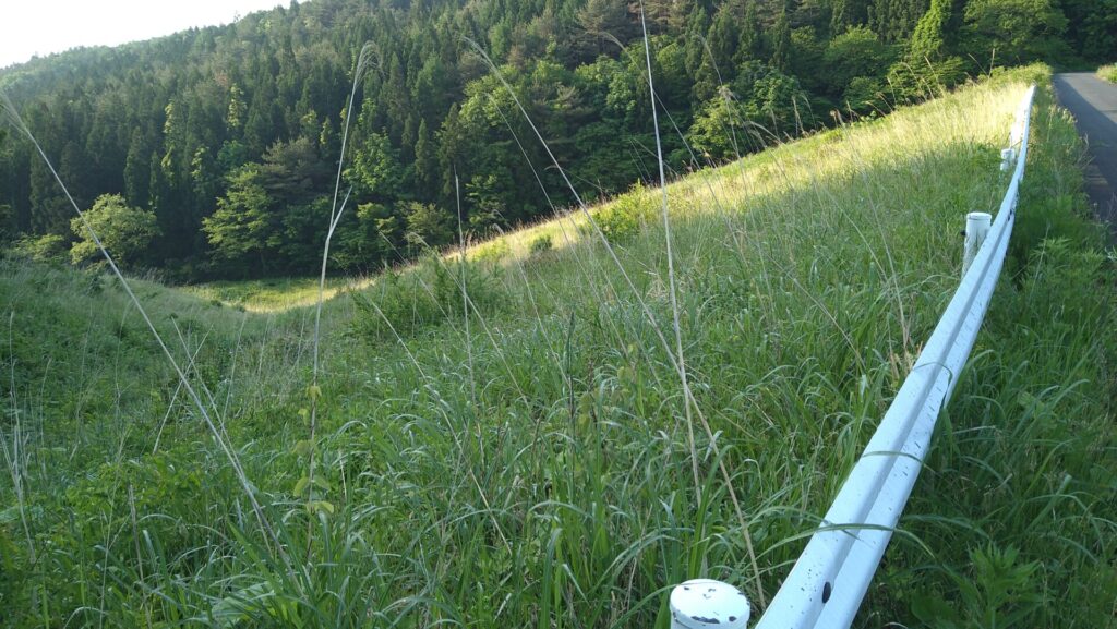 左岸の下流側から見た橇引沢溜池の堤体