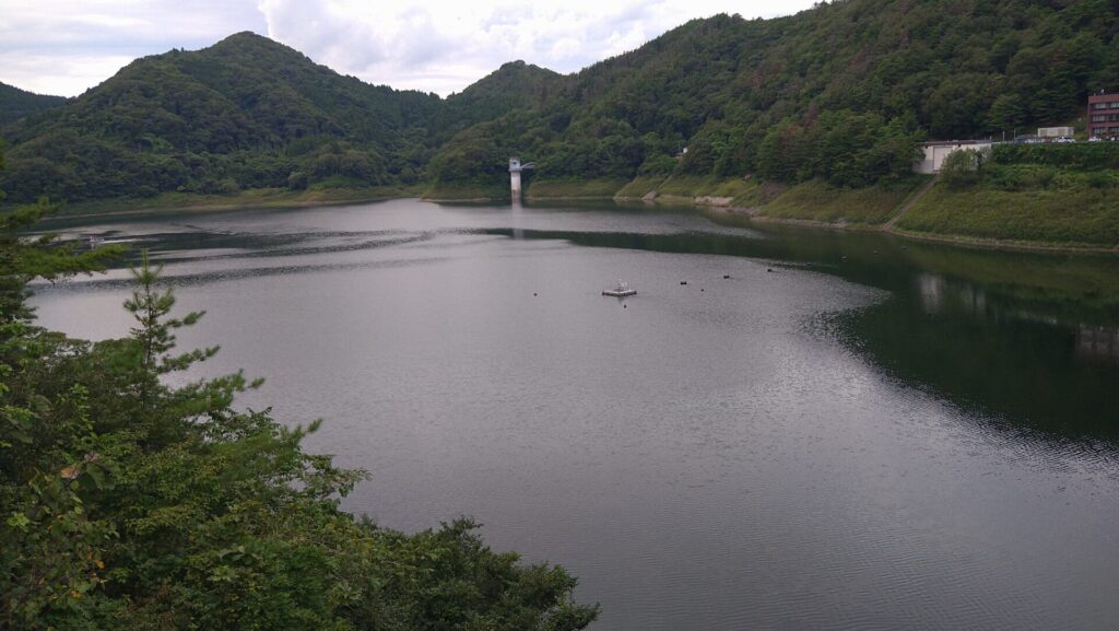 田瀬湖の風景