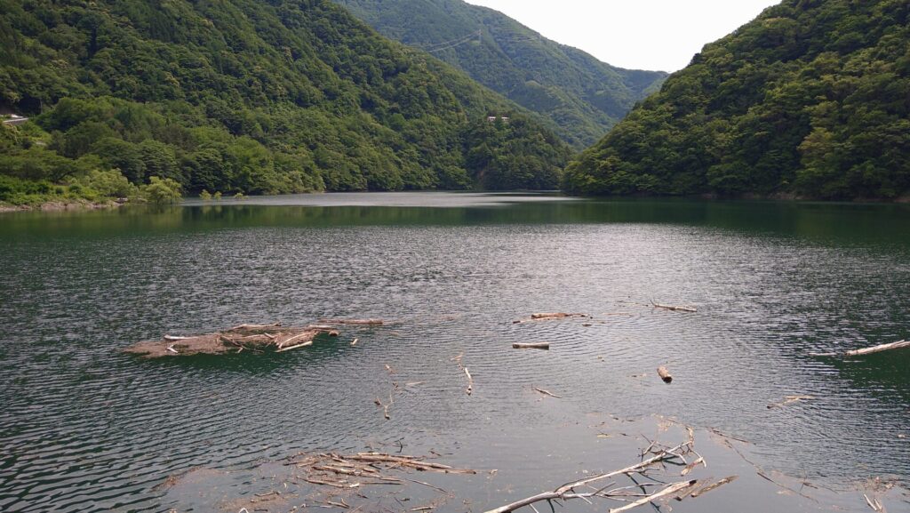 水殿ダムのダム湖の風景