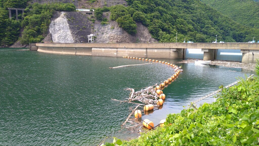 右岸の上流側から見た水殿ダム