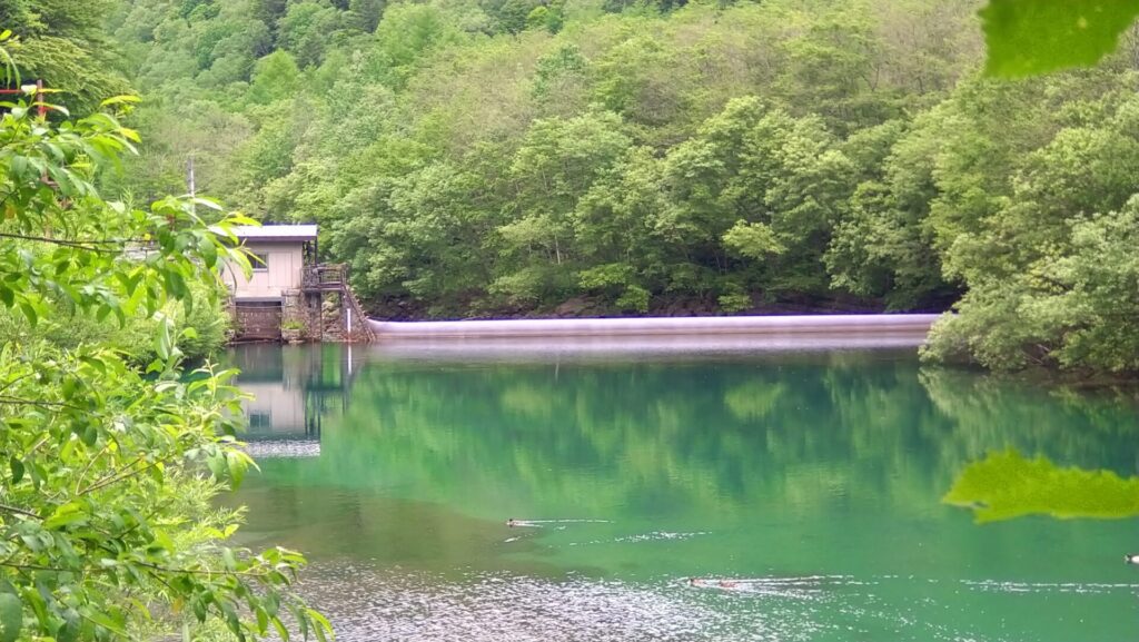 左岸の上流側から見た東京電力取水堰
