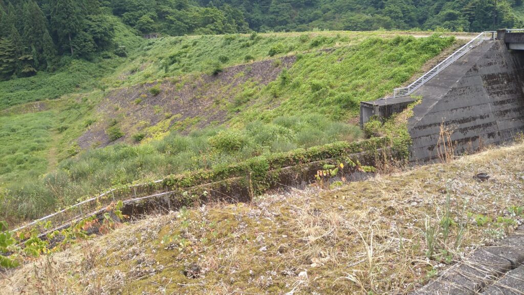 布施川ダムの堤体