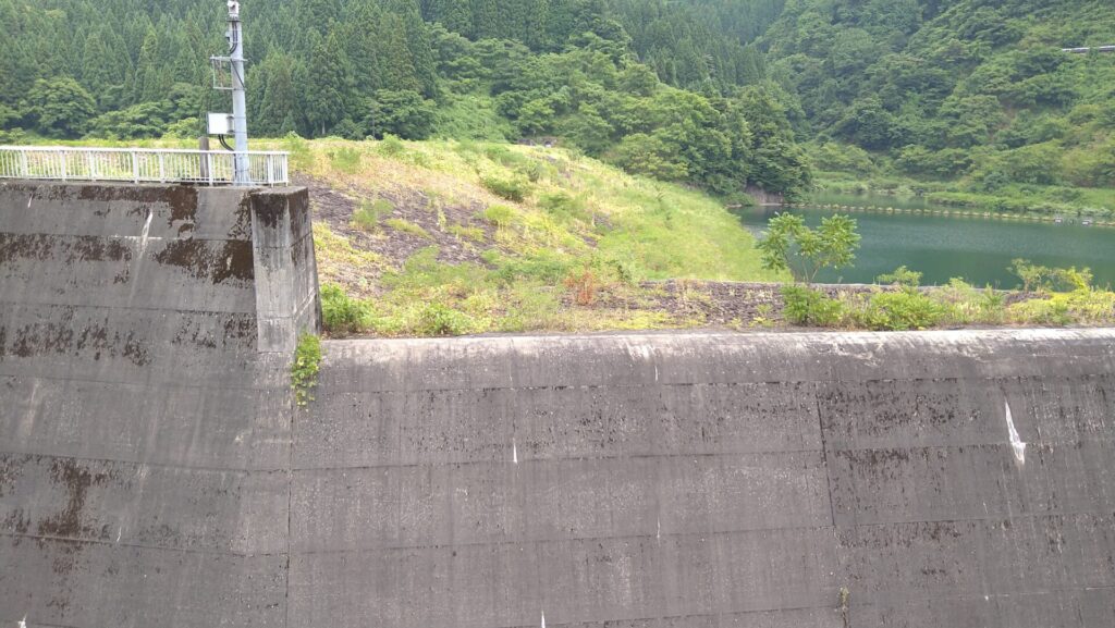布施川ダムの堤体