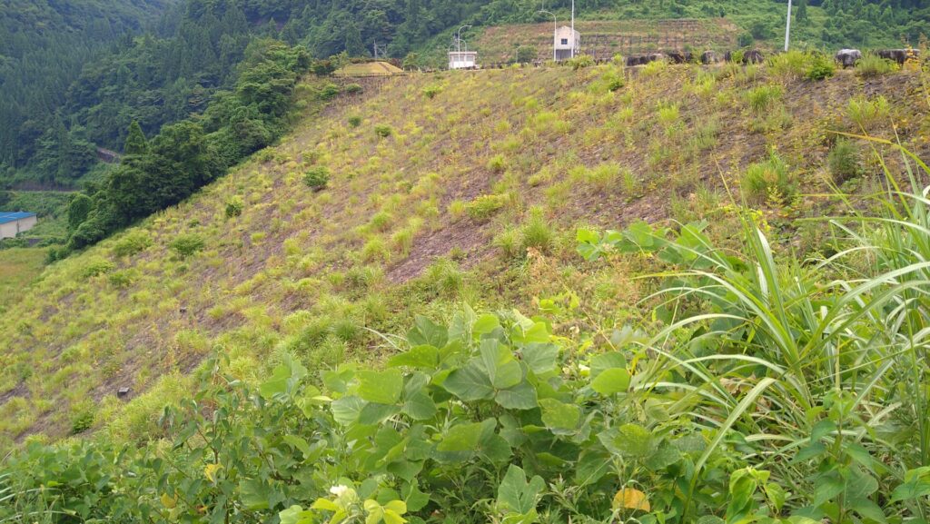 左岸の下流側から見た上市川第2ダム