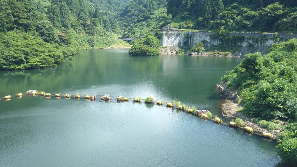 舟川湖の風景